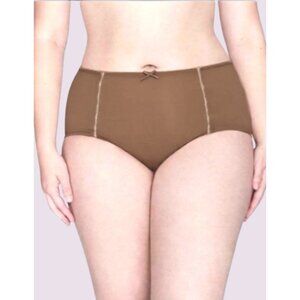 Lane Bryant Cacique Dazzler Full Brief Panty 26/28